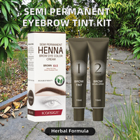 Kit Pewarna Alis Herbal Semi Permanen Profesional OEM Custom dengan Henna Gel Tahan Lama & Tahan Air Label Pribadi