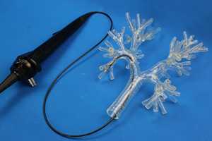 Broncoscopy training modello principale vie aeree Bronchi operazione intervento endoscopio respiratorio allenamento broncoscopio flessibile - Product Image 5