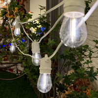 Noël Festoon Guirlandes Extérieur Jardin Patio Maison De Vacances Festival Décor Rétro Edison Filament Globe LED Ampoule Guirlande Lumineuse