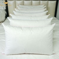Vente chaude : Inserts de coussin en duvet et plumes d'oie et de canard pour un sommeil sain, qualité hôtelière 5 étoiles, pour hôtels et usage domestique
