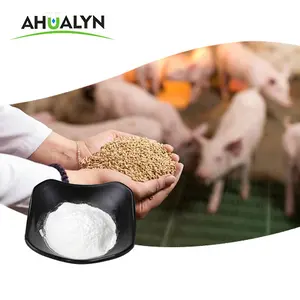 Bột Lysine Bổ Sung Dinh Dưỡng Giá Tốt Nhất Axit Amin L-Lysine Hydrochloride CAS 657-27-2