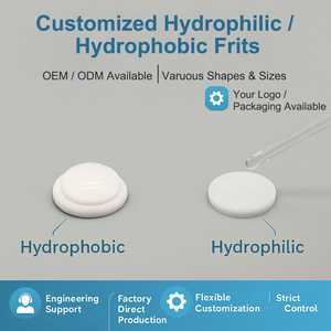 Độ chính xác OEM 1-500m Kích thước lỗ chân lông chịu mài mòn cao PE/PP màng ưa nước frits cho sắc ký ISO9001 chứng nhận - Product Image 2