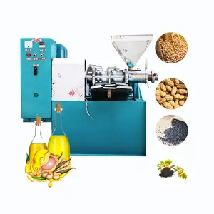 Commercial sunflowers seed palm sunflower peanut cold and hot oil press machine 10 tons per day