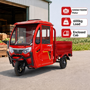 <span class=keywords><strong>Triciclo</strong></span> eléctrico de carga de tres ruedas, 1500 W, con cabina cerrada y capacidad de carga de 600 kg, ideal para el transporte - Product Image 3