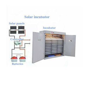 <span class=keywords><strong>Mini</strong></span> tự động năng lượng mặt trời lồng ấp trứng lồng ấp máy - Product Image 4