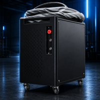 Machine de nettoyage au laser pulsé portative 100W 200W 300W pour l'élimination de la rouille et de l'oxyde sur les petites pièces avec chariot à roulettes