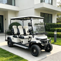 Voiturette de golf électrique 4 places 72V Lithium, couleur de carrosserie personnalisable, coffre arrière ajouter, rangement supplémentaire, homologuée DOT US, fiable