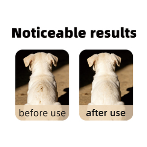 ถุงมือทำความสะอาดสัตว์เลี้ยงแบบใช้แล้วทิ้ง 50 ชิ้น สำหรับผิวแพ้ง่าย ปลอดภัยสำหรับมืออาชีพ เหมาะสำหรับร้านสปาสัตว์เลี้ยง คลินิกสัตวแพทย์ - Product Image 5