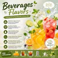 Concentrado de Sabor para Bebidas Energéticas, Bebidas Funcionales, Bebidas Deportivas y Bebidas Sin Alcohol, Proveedor de Sabores de Grado Alimenticio