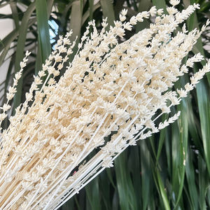 Flores decorativas al por mayor <span class=keywords><strong>lavanda</strong></span> real baratas <span class=keywords><strong>comprar</strong></span> decoración del hogar <span class=keywords><strong>lavanda</strong></span> seca a granel - Product Image 2