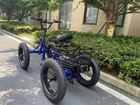 2025 Le Dernier Vélo Tout-Terrain Électrique, Quad Électrique, Vélo Électrique à Pneus Larges, Cycle à Quatre Roues