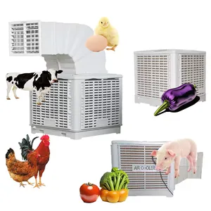 Máquina de refrigeração de água industrial, ar condicionado de água, refrigeradores de ar evaporativos industriais, refrigeração de ar para galinhas, estufa