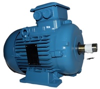Moteur électrique triphasé AC WEG W21 W22 W50 25hp 18.5kw 30hp 22kw 220kw 300hp 3 pour applications industrielles, livraison porte-à-porte