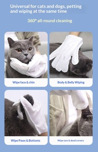 Gants jetables écologiques non tissés désodorisants sans rinçage, à mâcher, en sachet individuel, pour un nettoyage en profondeur, doux et confortables pour chats - Product Image 6