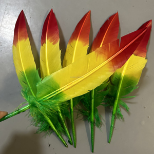 Plumas de Pavo <span class=keywords><strong>Nandu</strong></span> Teñidas en Dos Tonos al por Mayor para Accesorios de Mochilas y Plumas de Lujo para Carnaval - Product Image 6