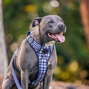 快適なステップイン式犬用ハーネス、頑丈で反射素材付き、アクティブなペットのための簡単操作ハンドル付きファッションハーネス - Product Image 6