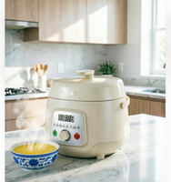Cuisinière à riz électrique multifonctionnelle mini 2,5 L 600 W pour la vente en gros PC50-E