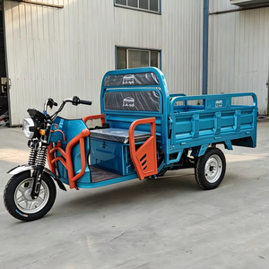 รถสามล้อบรรทุกขนาดใหญ่ ดีไซน์เปิดโล่ง ทันสมัย ได้รับการรับรองมาตรฐาน EEC 60V สำหรับ 2 ที่นั่ง - Product Image 1