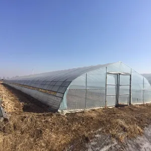 חקלאות חקלאות מנהרת תוחלת יחידה חממה לגדל אוהל צורת קשת בית ירוק גבוה למשתלה