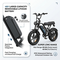 Vélo de montagne électrique 750W, moteur arrière sans balais 48V, batterie lithium 15AH, pneus larges, léger, double suspension, tout-terrain