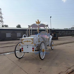 Usine vendant des carrosses citrouilles électriques blancs, nobles et exquis, pour princesses. Transport spécial. - Product Image 4