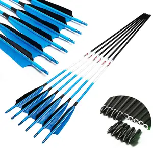 Flèches de tir à l'arc en carbone pur ID6.2, Fluorescent bleu, vraie flèche en plume, insertion avec pointes, prêt pour tir arc, nouveau
