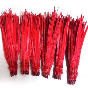 Plumes <span class=keywords><strong>de</strong></span> Faisan à Col Anneau Bicolores <span class=keywords><strong>de</strong></span> 16-18 Pouces pour Costumes <span class=keywords><strong>de</strong></span> <span class=keywords><strong>Carnaval</strong></span> <span class=keywords><strong>de</strong></span> Trinité 2025 – Fournitures <span class=keywords><strong>de</strong></span> Plumes Décoratives - Product Image 3