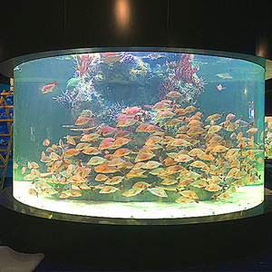 Oceanarium-scène met groot, dik, milieuvriendelijk acryl <span class=keywords><strong>aquarium</strong></span> in cilinderdesign. - Product Image 6