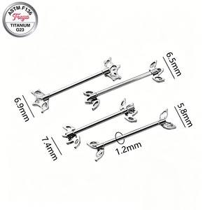 Anillo <span class=keywords><strong>de</strong></span> Pezón Sexy Freya para Mujer, Joyería <span class=keywords><strong>de</strong></span> Piercing <span class=keywords><strong>de</strong></span> Pezón <span class=keywords><strong>de</strong></span> Titanio G23, Piercing <span class=keywords><strong>de</strong></span> Seno con Zirconia, Joyería Corporal <span class=keywords><strong>de</strong></span> Moda - Product Image 4