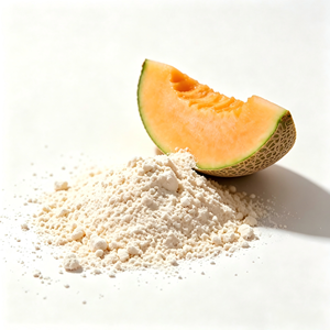 Bulk Supplier Freeze-dried Cantaloupe Powder Natural Ingredient Consistent Quality Non-GMO for Nutritional Supplements - Product Image 1