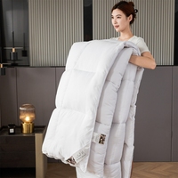 Couette légère et fraîche en fibres de soie de soja compressée pour l'été, épaisse pour l'hiver, pour étudiant, simple, avec garnissage