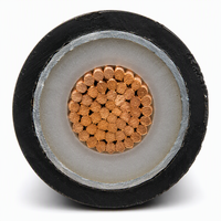 Câble d'alimentation blindé en cuivre YJV22 0,6/1 kV à un seul conducteur 1*150 mm², câble à grande section transversale isolé XLPE