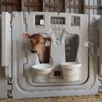 ฟาร์มโคนมอุปกรณ์วัวพลาสติกลูกวัวปากกา1920มิลลิเมตรนมลูกวัวบ้าน