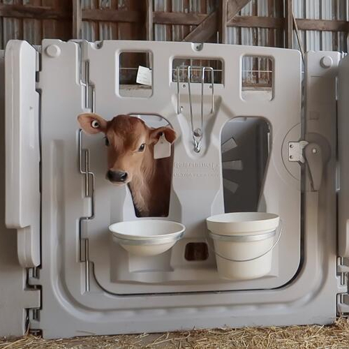 Dairy Farm Equipment Cow Plastic Calf Pen 1920 mm Dairy Calf House
