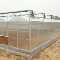 China Leverancier Grote Multi-Span Agrarische Kas Industriële Polycarbonaat Plaat Broeikasmateriaal