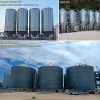 Silos in Acciaio per Stoccaggio di Grano, Mais e Cacao