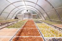 Zonne-Energie Fruit Droogmachine Voedsel Droger Vis Droge Machine Zonne-Energie Fruit En Groente Droger Te Koop