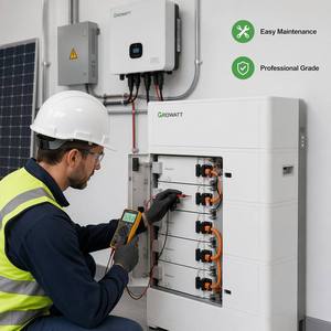 Batterie solaire de secours LiFePO4 Growatt 10 kWh pour <span class=keywords><strong>SPF5000ES</strong></span> SPH3000-6000 51,2 V 200 Ah pour énergies renouvelables - Product Image 3
