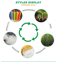 Paille biodégradable pour boissons personnalisées, thé Boba, jus, pailles noires en PLA