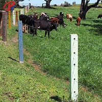 Clôture en fil barbelé galvanisé à chaud pour ferme, ranch, bétail, bovins, moutons, clôture de sécurité