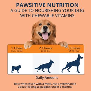 Probióticos para Mascotas OEM ODM, Probióticos para Perros con Prebióticos, Promueven un Microbioma Intestinal Equilibrado, Refuerzan la Salud Inmunológica, Masticables Suaves - Product Image 6
