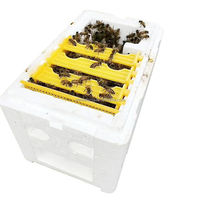 Mini ruche en mousse de polystyrène, kit de démarrage d'apiculture en plastique, boîte d'accouplement pour abeilles