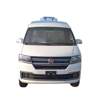 Camion frigorifique diesel automatique de type minibus Jinbei Haishi, neuf, pour le transport de vaccins et de produits pharmaceutiques, plage de température -20°C, Euro