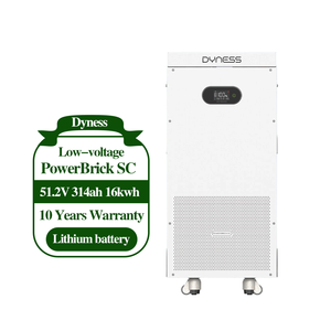Batterie LiFePO4 Dyness PowerBrick SC 16,076 kWh 51,2 V 314 Ah, 8000+ cycles, 50 unités en parallèle, stockage d'énergie solaire domestique - Product Image 5