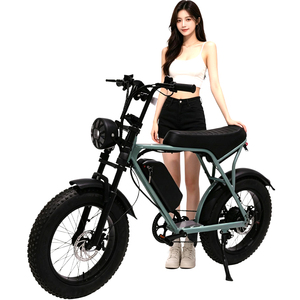 Vélo de <span class=keywords><strong>route</strong></span> électrique haute puissance 48V 300/<span class=keywords><strong>500</strong></span>/1000 Watt, VTT à pneus larges de 20 pouces, VTT - Product Image 6
