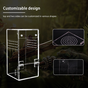 Terrario Rectangular Moderno y Ecológico de Acrílico Luby para Reptiles, Jaula de Varios Tamaños 20x20x30cm para Ranas y Arañas - Product Image 3