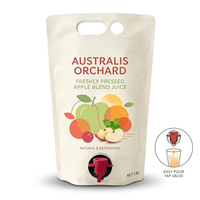 Pochettes à jus de 1L, 2L, 3L avec robinet, pochettes souples personnalisées avec valve pour jus de fruits, boissons et emballages liquides