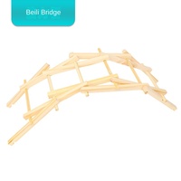 Kit de Ciencia y Tecnología DIY, Bolsa de Materiales Pequeña para Estudiantes y Niños, Regalos Novedosos para Jugar con la Física