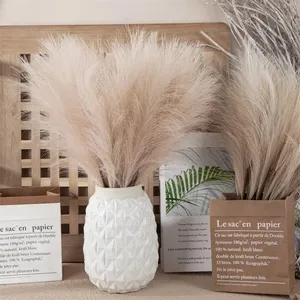 Roseau Artificiel Ins Bouquet <span class=keywords><strong>De</strong></span> Vent Imitation Fleurs Bohème Maison Salon Décor Faux Roseau <span class=keywords><strong>Décoration</strong></span> <span class=keywords><strong>De</strong></span> Noël <span class=keywords><strong>De</strong></span> <span class=keywords><strong>Mariage</strong></span> - Product Image 2