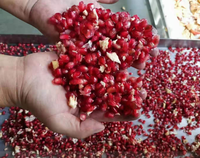 Granaatappelhuid Verwijderen Peeling Pulp Zaden Scheiden Machine